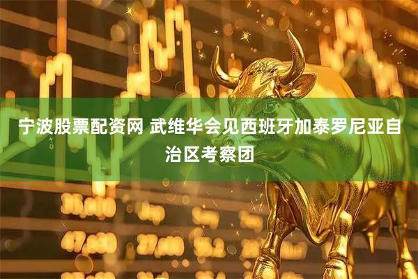 宁波股票配资网 武维华会见西班牙加泰罗尼亚自治区考察团