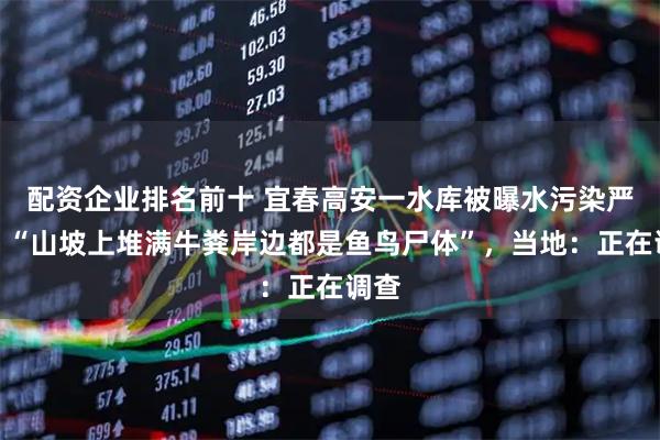 配资企业排名前十 宜春高安一水库被曝水污染严重，“山坡上堆满牛粪岸边都是鱼鸟尸体”，当地：正在调查