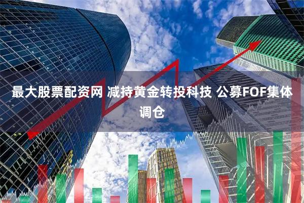 最大股票配资网 减持黄金转投科技 公募FOF集体调仓